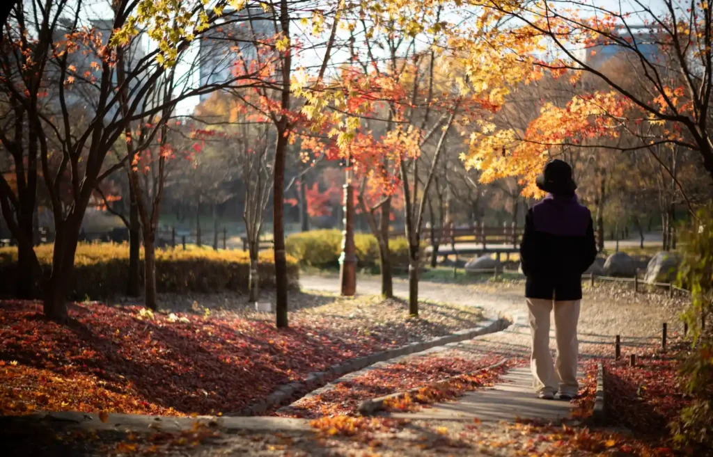 라이카 녹티룩스 50mm f/1.2로 촬영한 가을 산책로 인물 사진, 낙엽과 햇빛이 어우러진 장면
