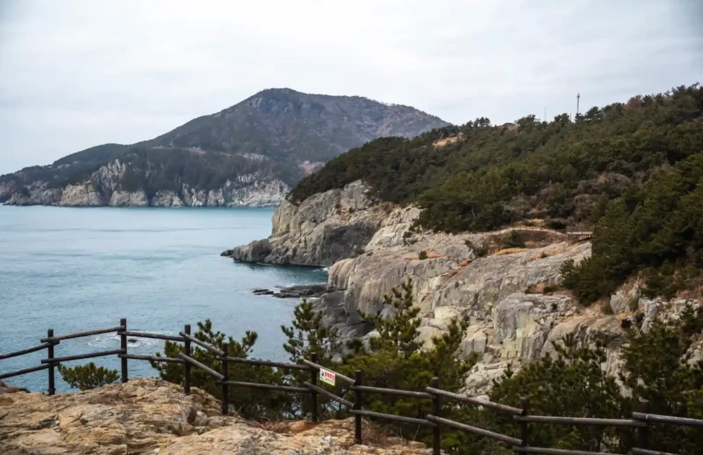 욕지도 펠리컨 바위 위에서 바라본 해안 절벽과 비렁길 전경, 소나무 숲 사이로 데크 산책로가 이어지고 멀리 한려수도 바다와 산이 보이는 겨울 풍경