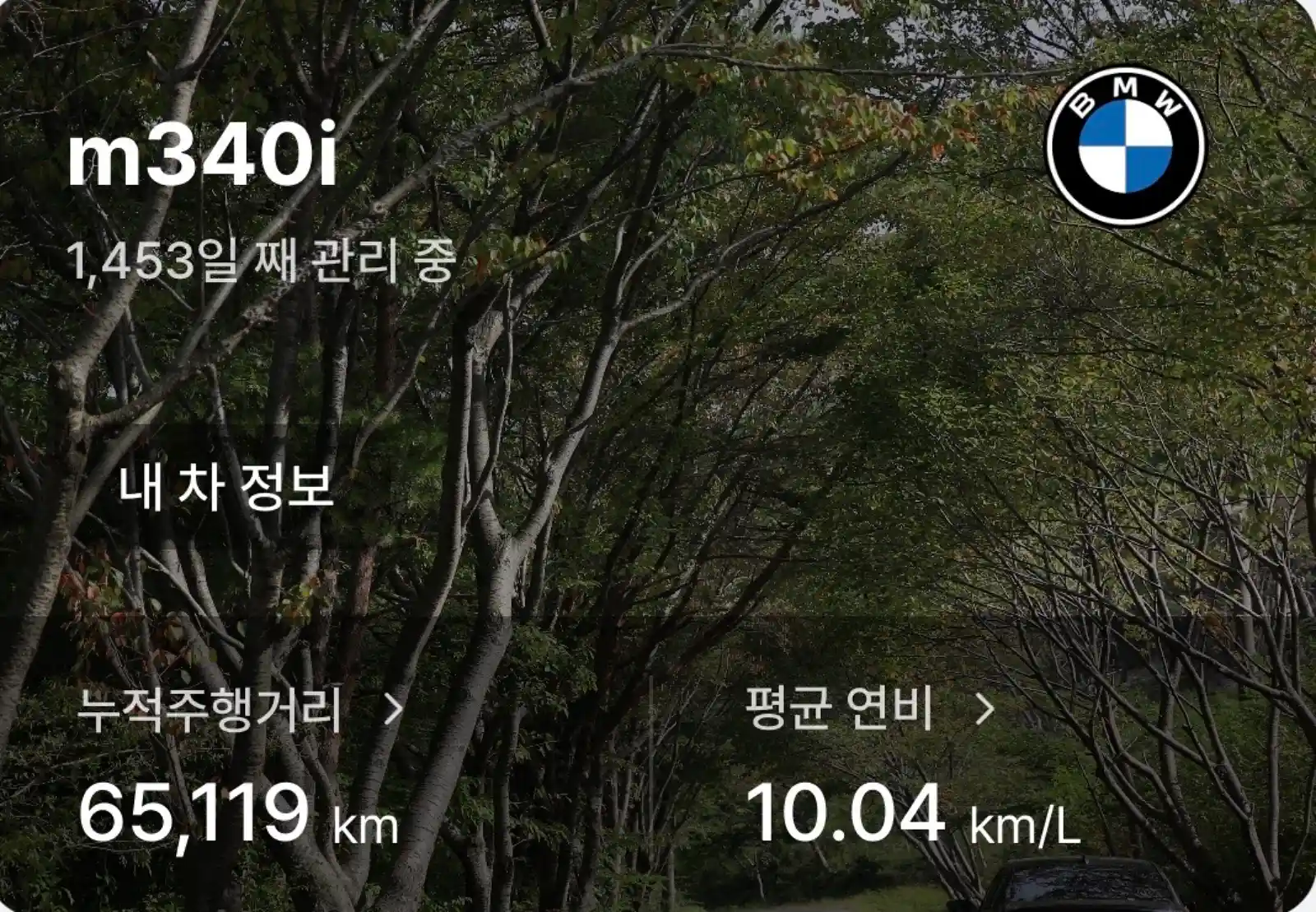BMW M340i 차계부 앱 화면 — 누적 주행거리 65,119km, 평균 연비 10.04km/L, 1,453일 관리 기록
